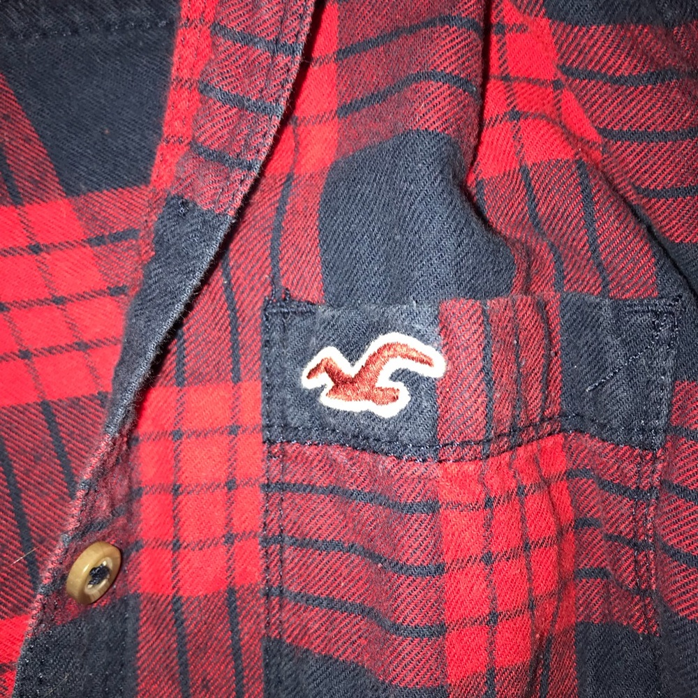 Flannel - Picture 4 of 4